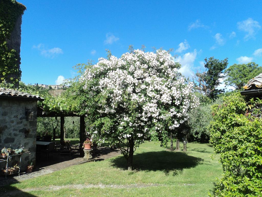 Vila La Chiusetta Orvieto Exteriér fotografie